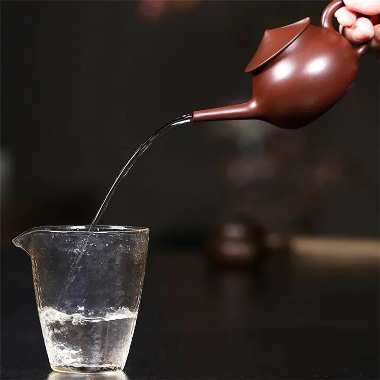 Handcrafted Yixing Zisha Teapot – Traditional Chinese Clay Teapot My Store